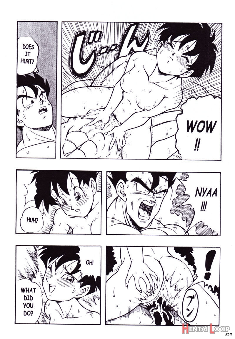 Dragonball H Maki Ni page 20