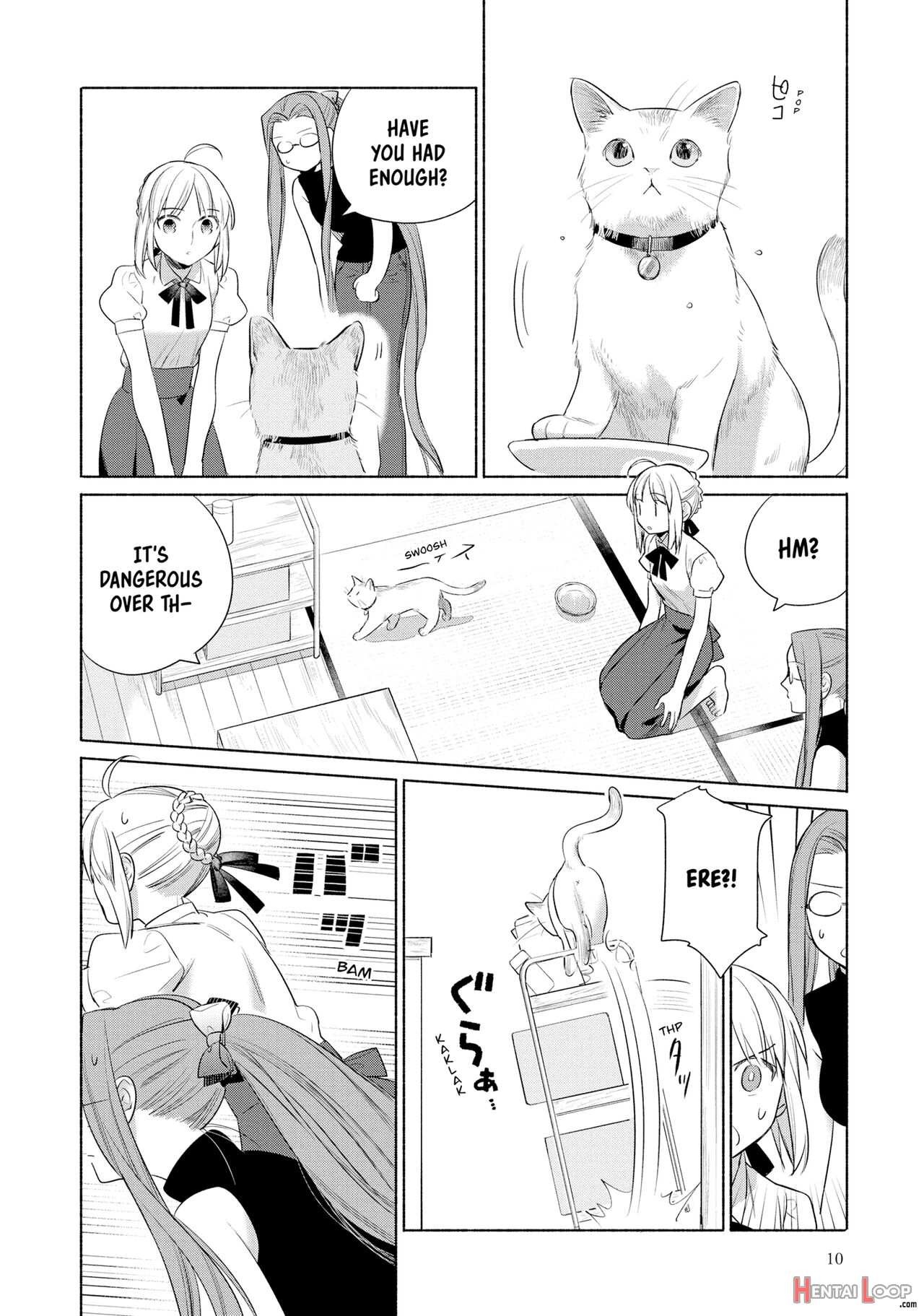 Today's Menu For The Emiya Family Volume 5 page 11