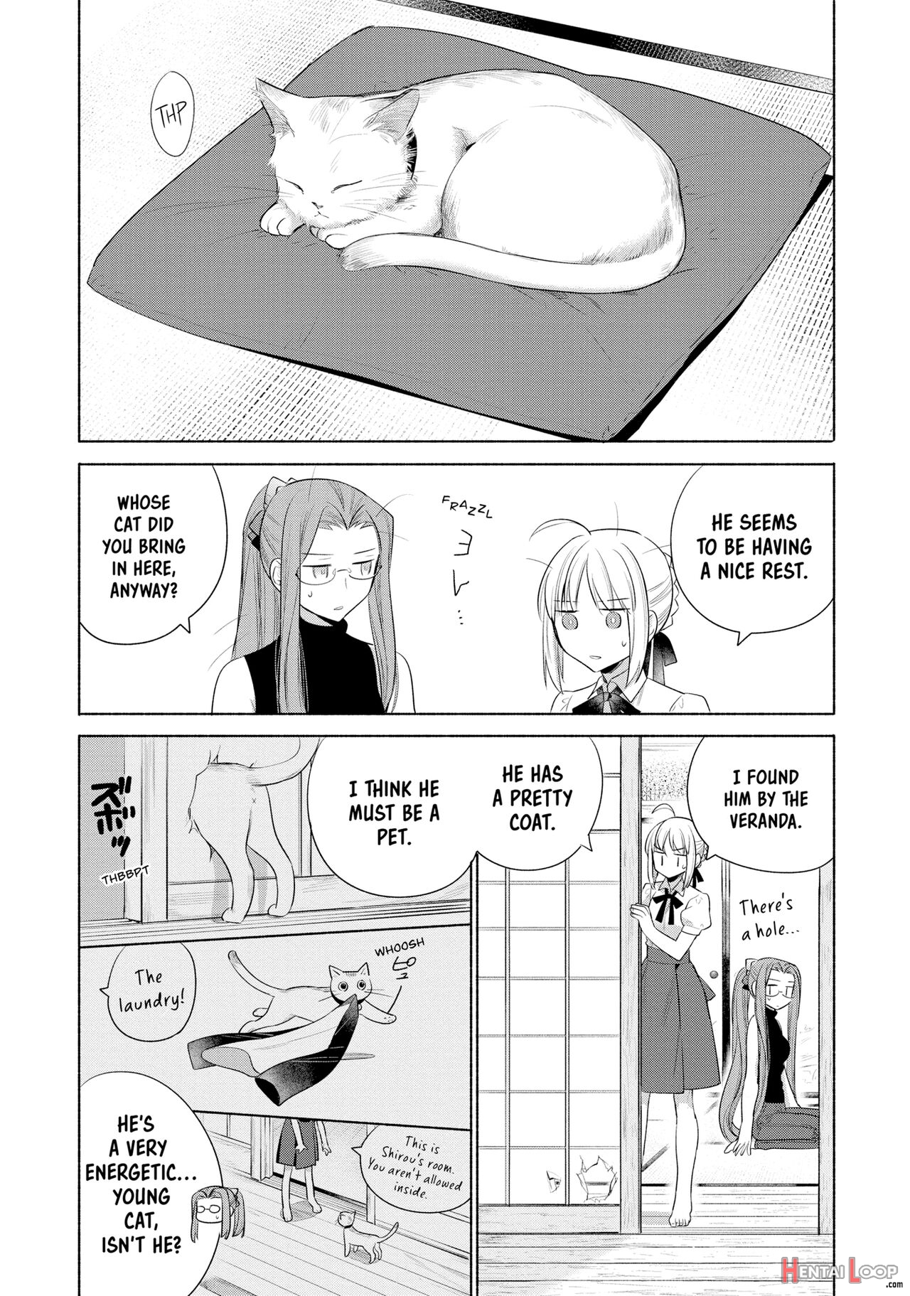 Today's Menu For The Emiya Family Volume 5 page 13