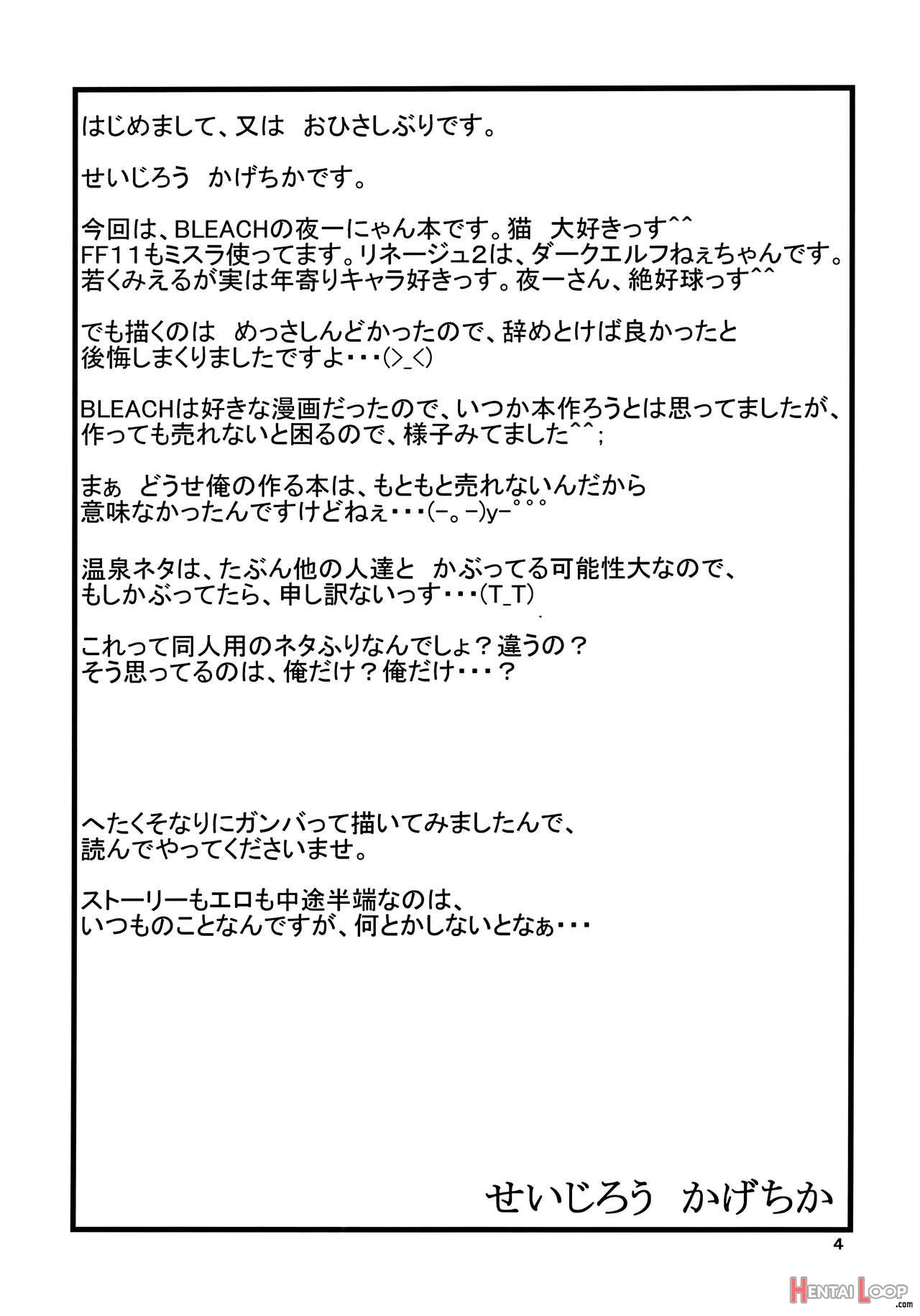 Yoruichi Nyan Book page 3