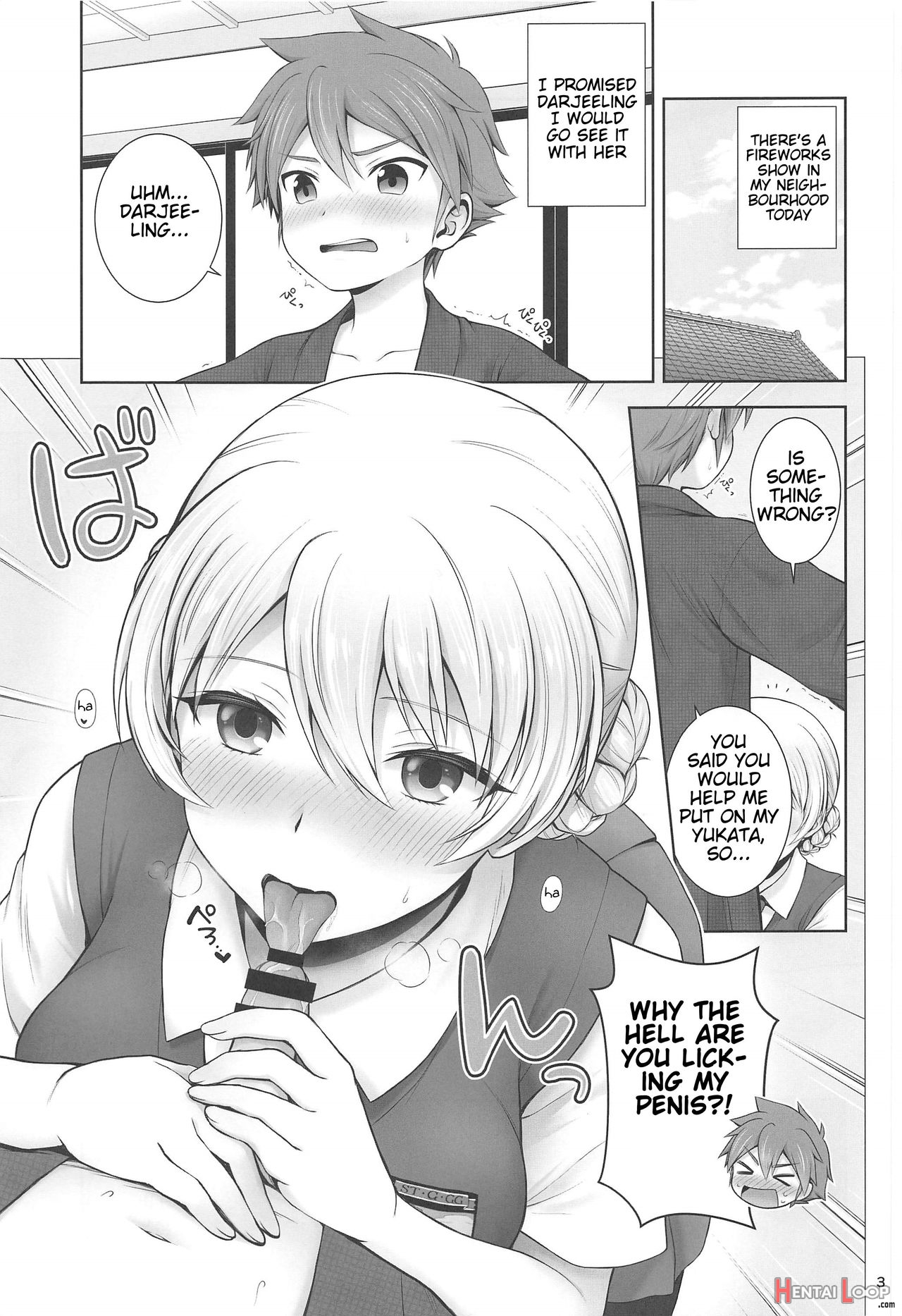 Darjeeling And Love Fireworks page 3