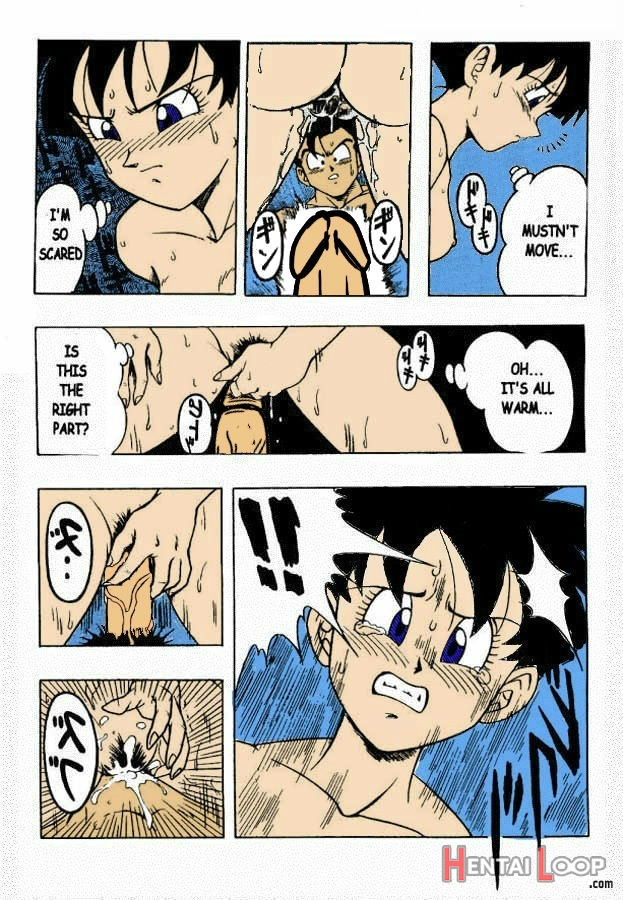 Dragon Ball H page 17