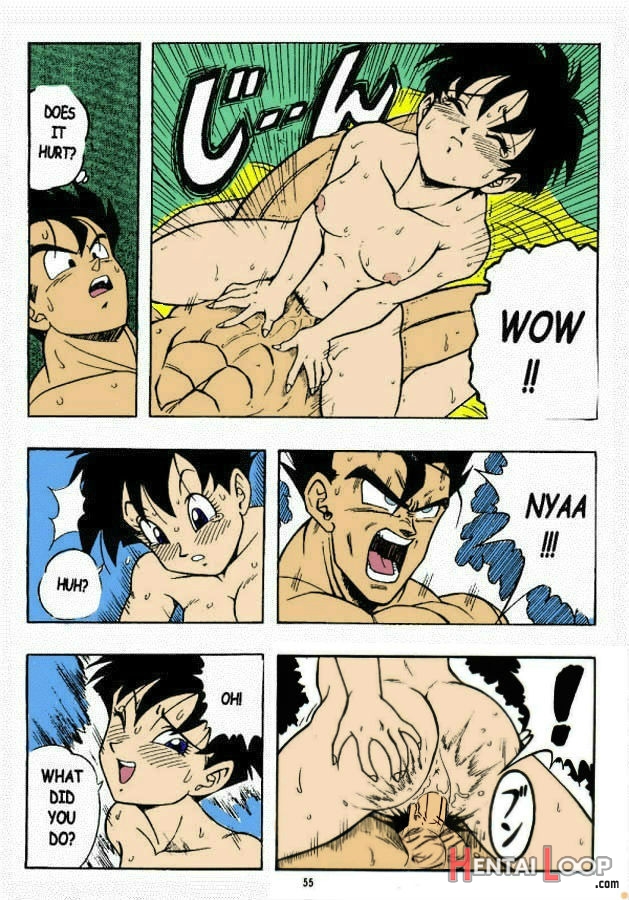 Dragon Ball H page 19