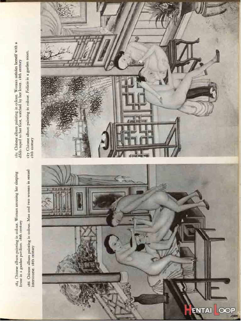 Erotic Art Of The East page 261