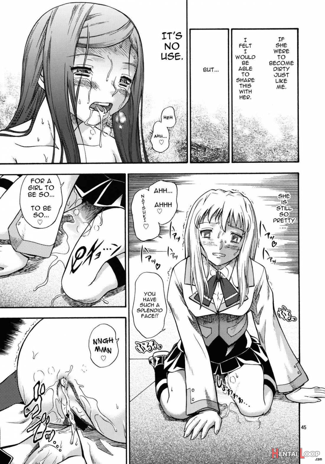 Hime Otome page 41