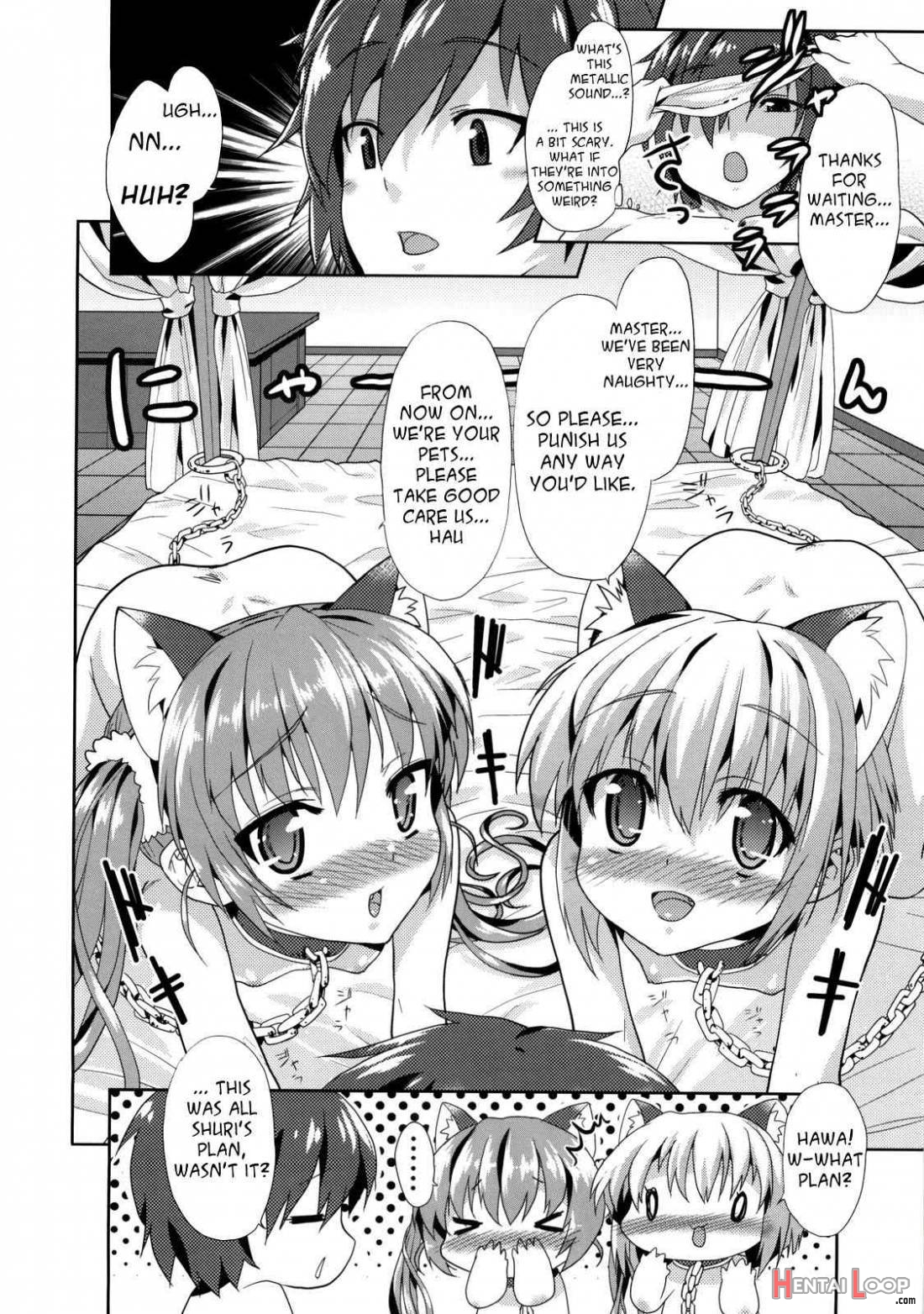 Ka-ai Teki Keiryaku ~shuri To Hinari No Neya Monogatari~ page 17