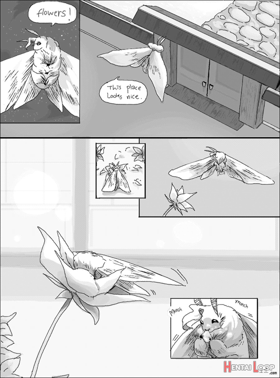 Light Of Love page 13