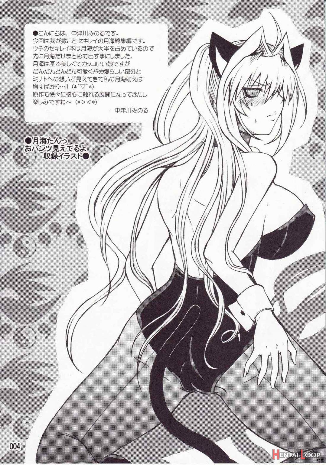 Mizu No Sekirei -honey Bump Sekirei Tsukiumi Soushuuhen- page 2