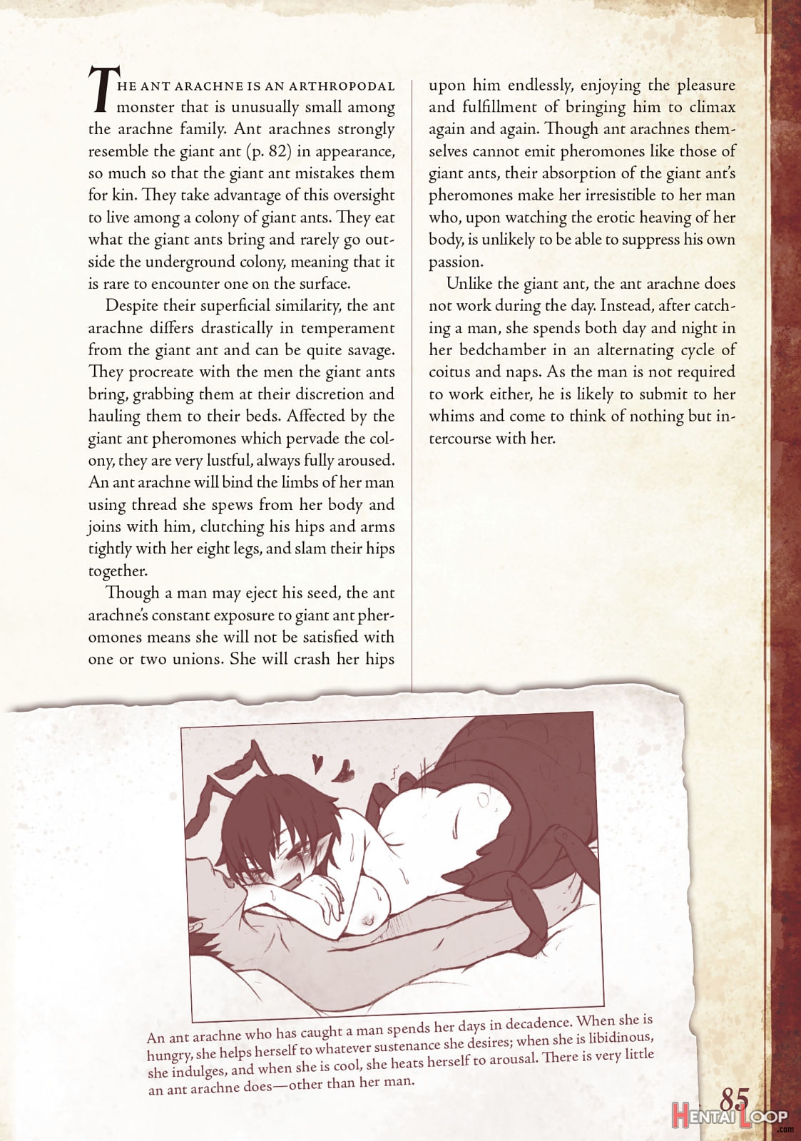Monster Girl Encyclopedia Vol. 1 page 86