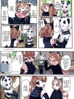 Panda Harem page 1