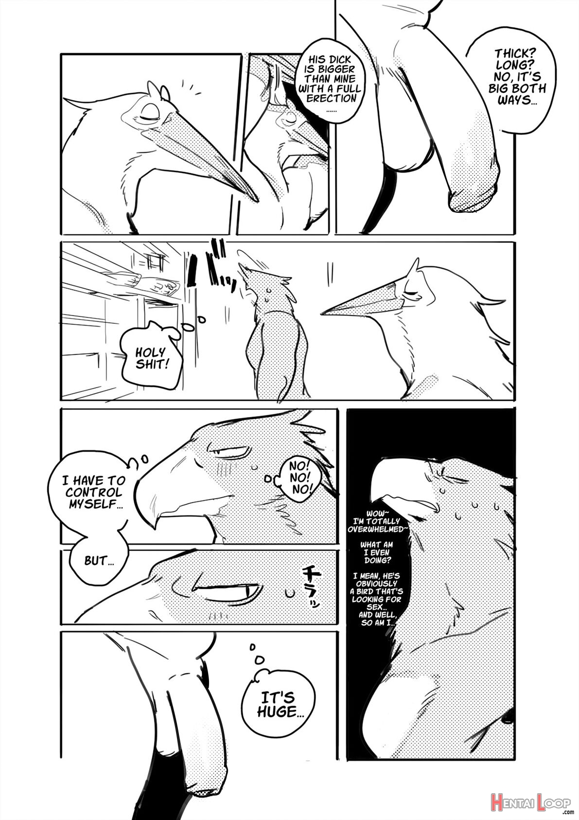 Pelican And White-tailed Eagle page 3