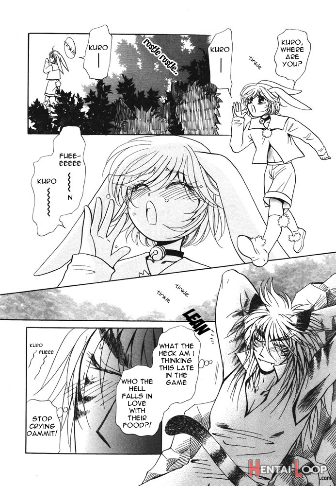 Puchi D Vol. 4 Kemonomimi page 62