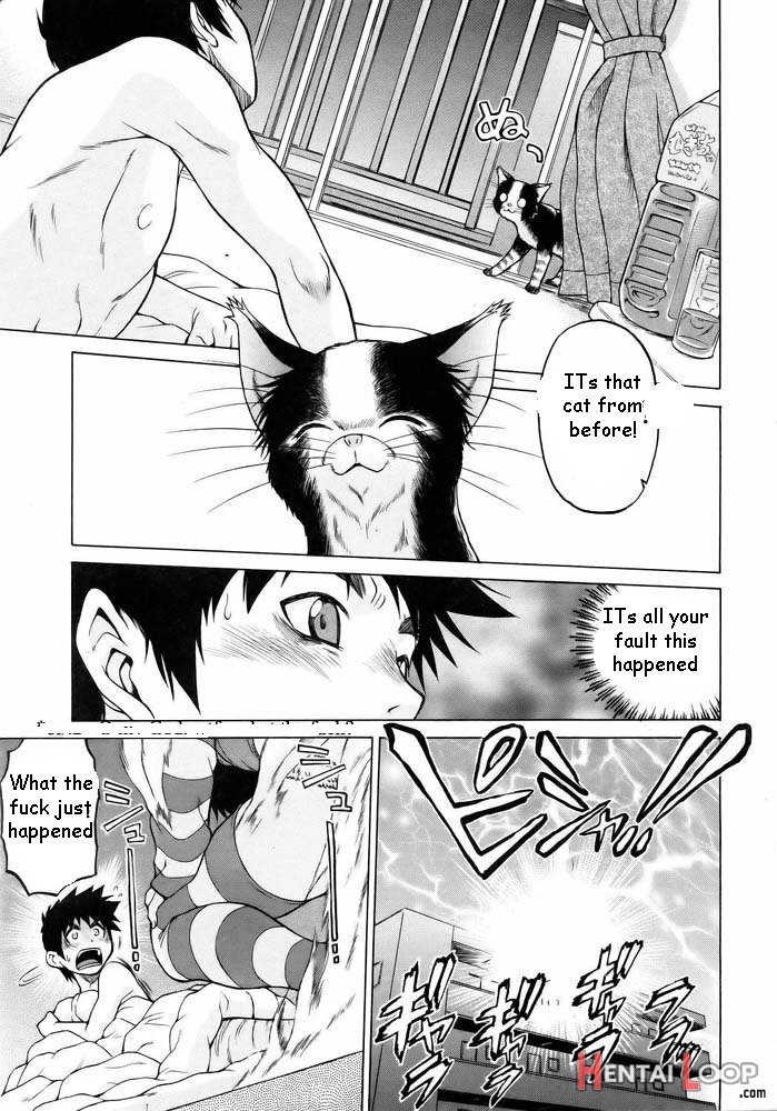 Pussy Transformation page 7