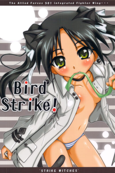 Bird Strike! page 1