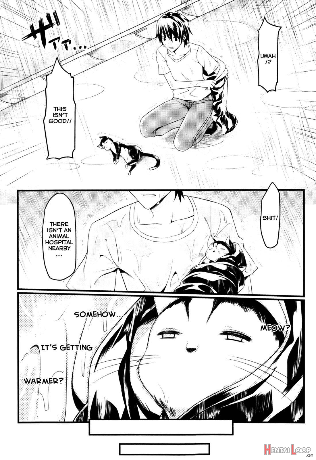 Catwoooman ~ Neko To Anata No Monogatari ~ page 2