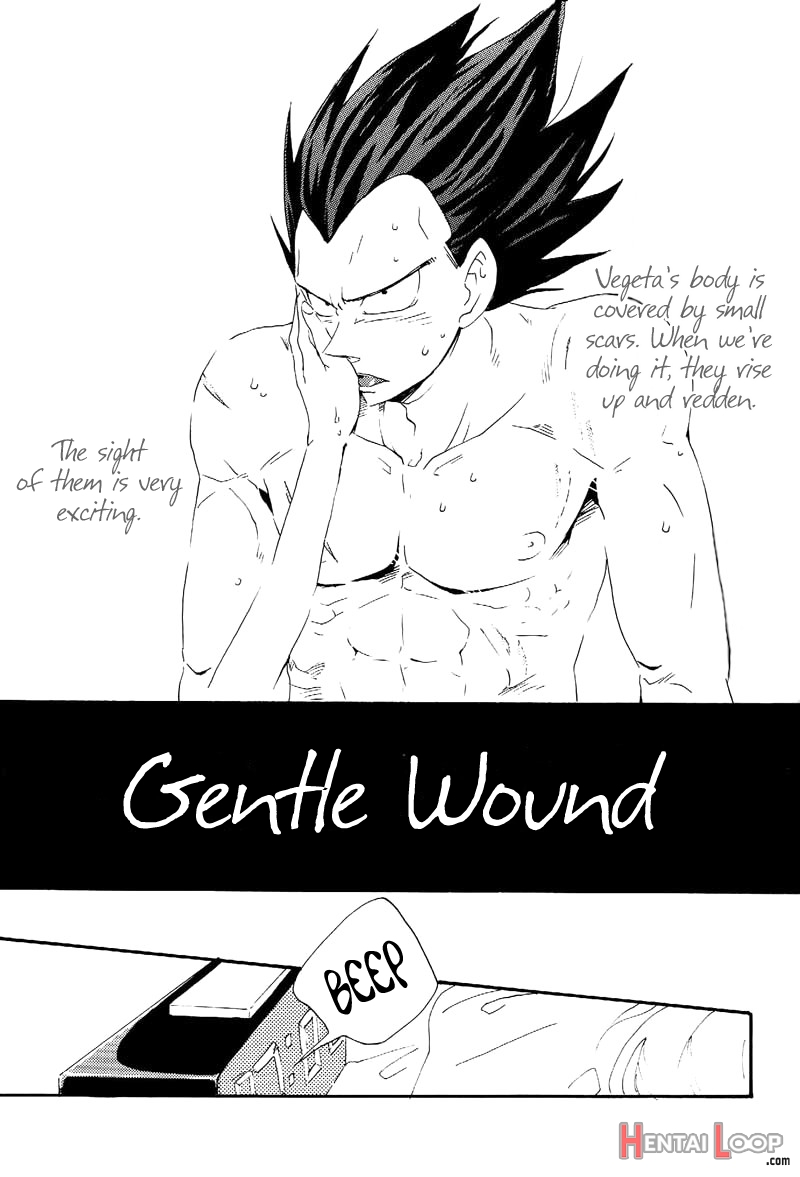 Gentle Wound page 3