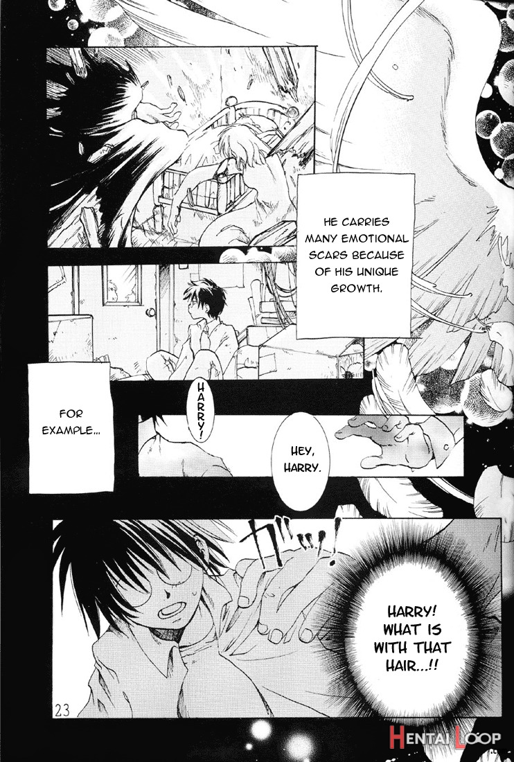 Harry To Himitsu No Kaenp1 page 20