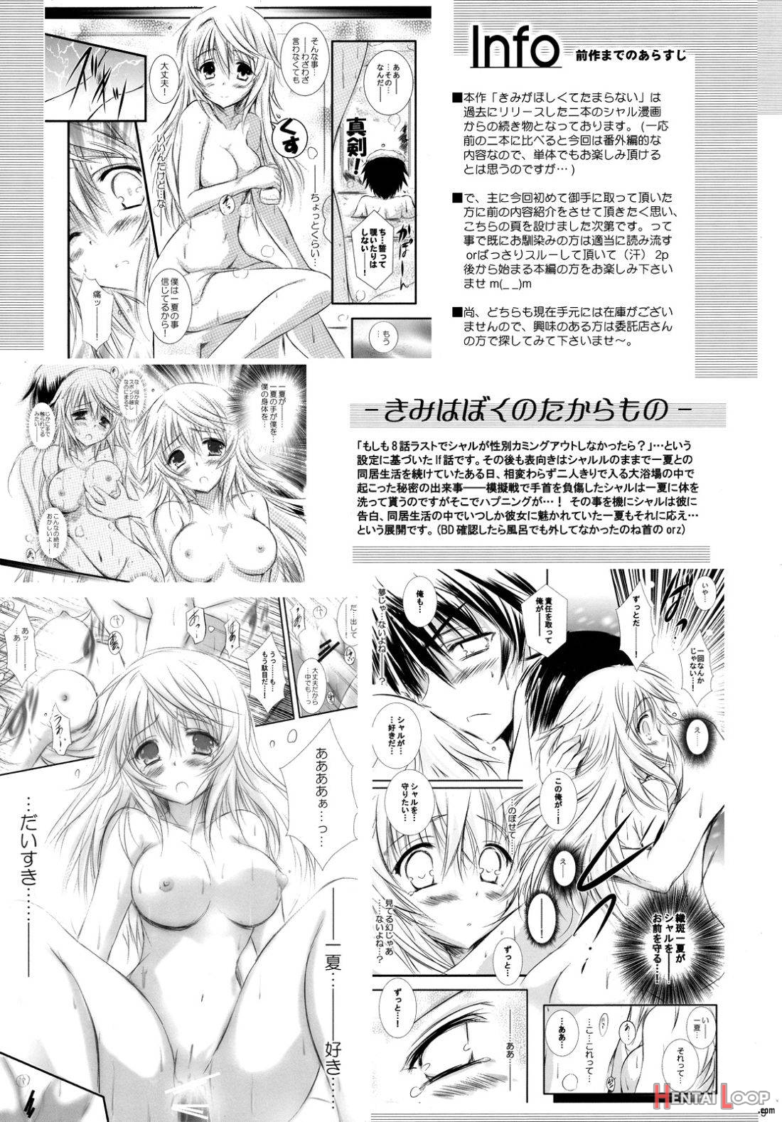 Kimi Ga Hoshikute Tamaranai. page 3