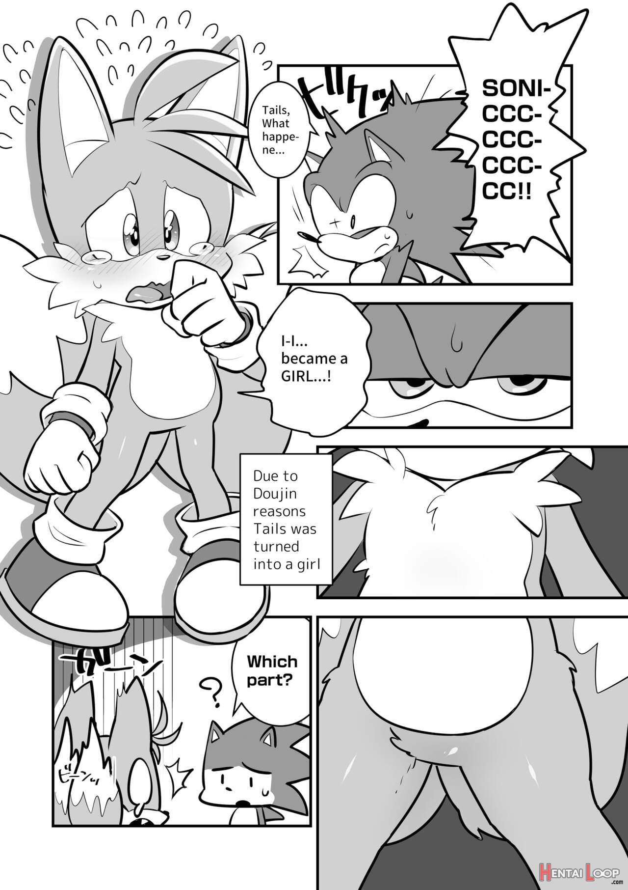 Tails And Sonic's Special Fuss page 2