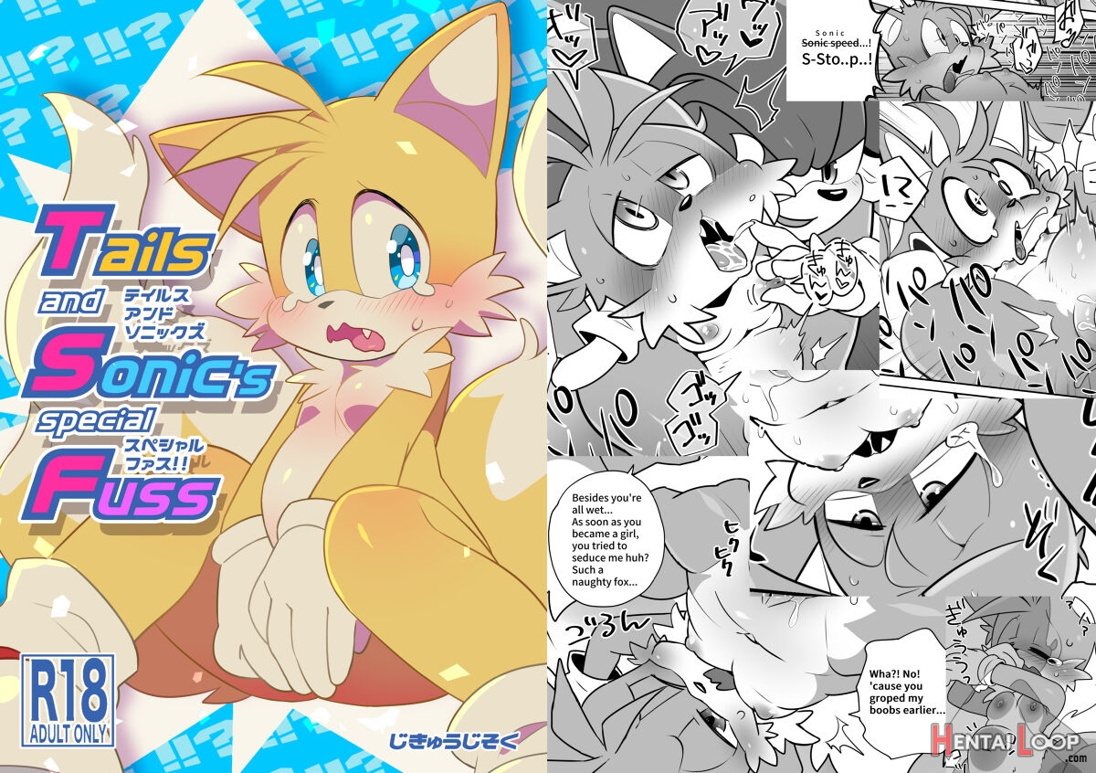 Tails And Sonic's Special Fuss Sample page 1