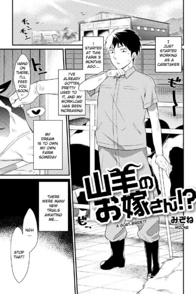 Yagi No Oyome-san!? page 1