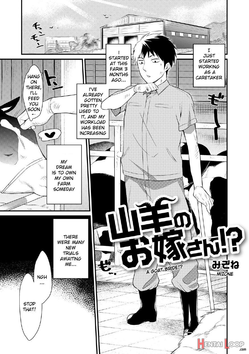 Yagi No Oyome-san!? page 1